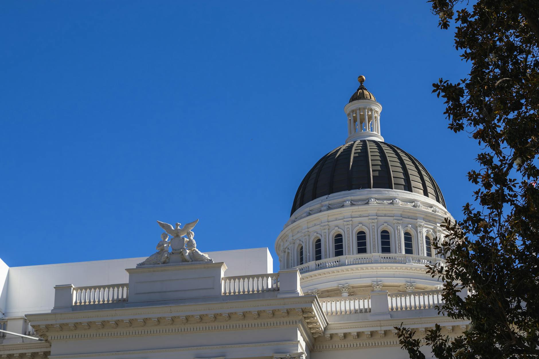 Government building representing Michigan state politics
